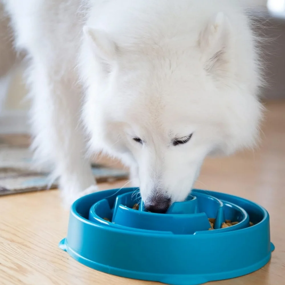 Outward Hound Fun Feeder Slo Bowl, Slow Feeder Dog Bowl